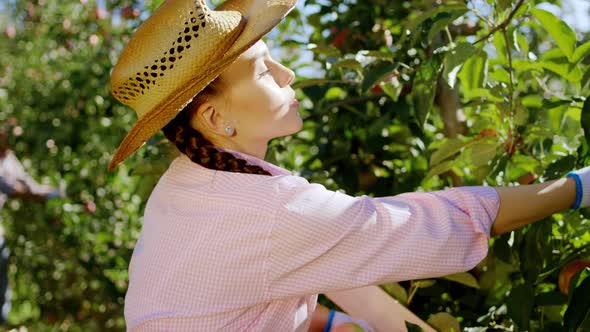 Charismatic Lady Farmer in a Sunny Day She Picking