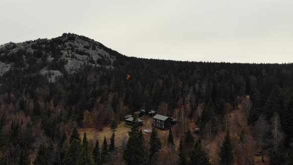 Aerial View of the Autumn Coniferous Forest Near the Top of the Mountain