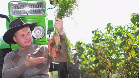 Growing Organic Carrots