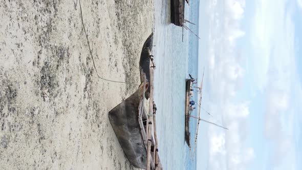 Zanzibar Tanzania  Vertical Video of Low Tide in the Ocean Near the Coast Slow Motion