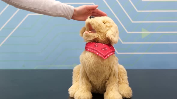 Girl's Hand Stroking a Robot Dog