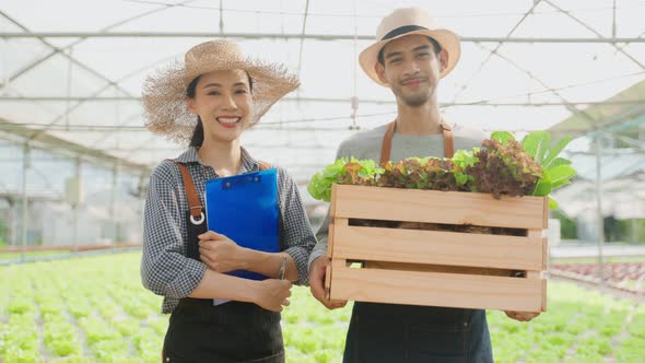 Portrait of Asian farmers couple work in vegetables hydroponic farm.