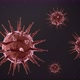 The virus Coronavirus (COVID-19) medical animation. - VideoHive Item for Sale
