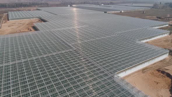 Flying Over Glass Greenhouses Growing Plants in Large Industrial Greenhouses Panoramic View