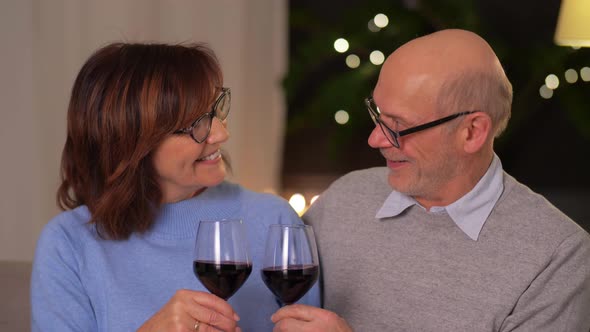 Happy Senior Couple with Glasses of Red Wine