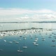 Warm Sunny Beach Melbourne City St Kilda Drone Cinematic Footage - VideoHive Item for Sale