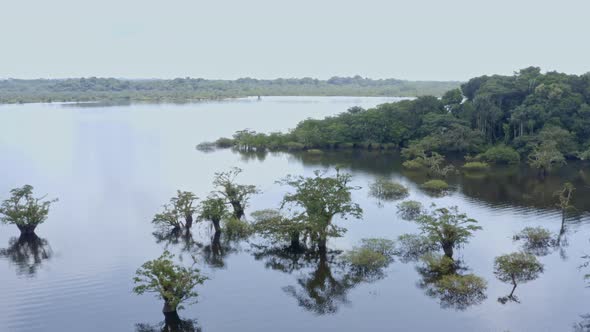 A lagoon in the Amazon of Ecuador, an ecosystem of inundated tropical forest