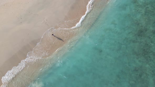 Woman walking into crystal clear water on Gili Meno Island during holidays. Aerial top down shot.