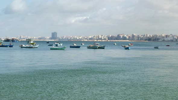 Rowboats Rocking on Waves in Port of Alexandria