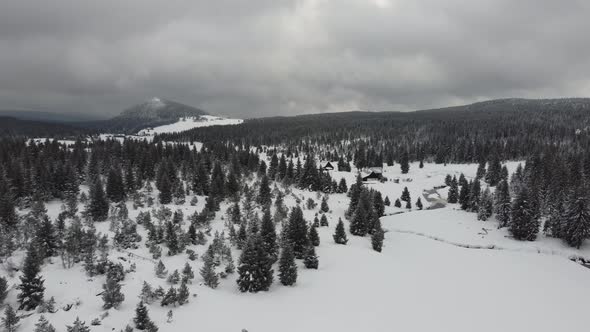 Aerial view of a snowy landscape. winter forest