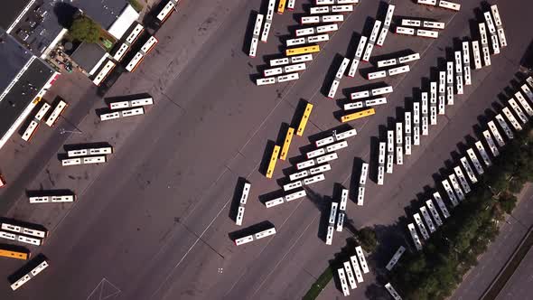 Aerial shot of Transport - bus, bus stop, bus station. Top view. Many bus parked.