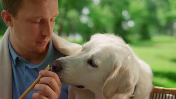 Closeup Attractive Man Feeding Cute Dog on Picnic