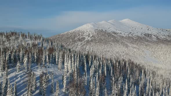 Snowcapped Mountain Peak and Beautiful Winter Forest