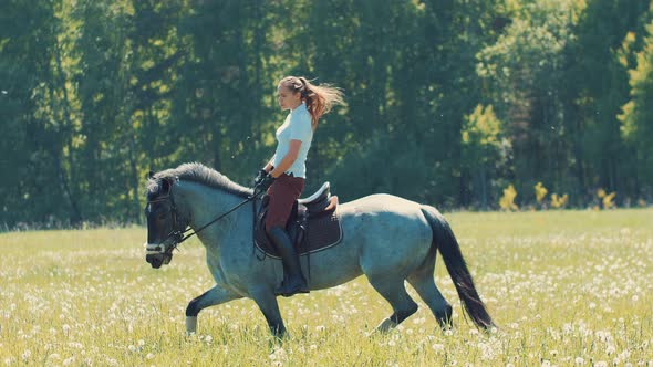 Woman Rider Riding a Gray Horse in a Summer Field with Wildflowers