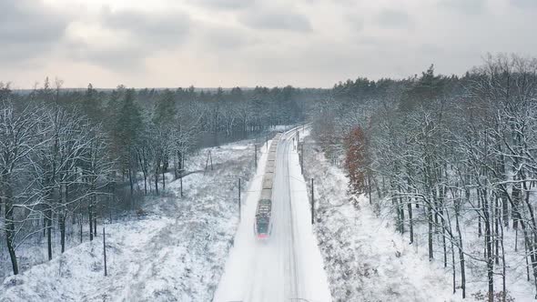 Electric train traveling through the winter forest.