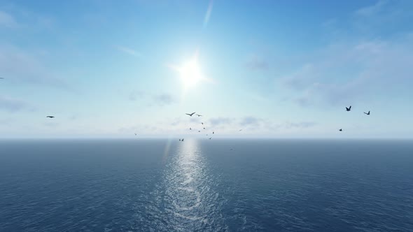 Birds Flying In The Ocean Sky alt