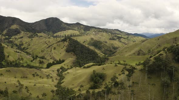 Aerial flying into beautiful Cocora Valley during daytime. Colombia.