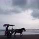 horse carriage running on the beach - VideoHive Item for Sale