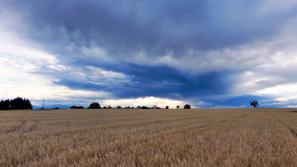 A drone shot featuring winter wheat, a stormy sky, and the majestic rocky mountains.