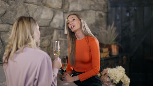 Two Women are Chatting with Glasses in Hands