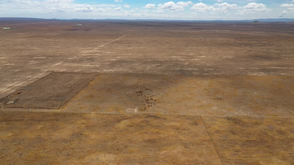 Drone Flying Over Kenyan Desert Drone Stock Footage By Drone Rune 9