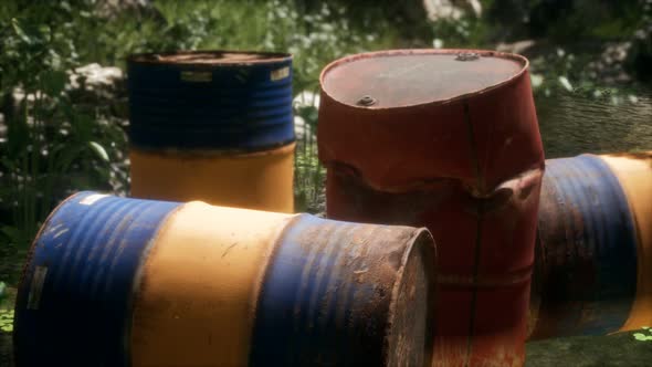 Rusty Barrels in Green Forest