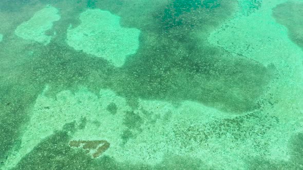 Corals in Clear Blue Sea Water