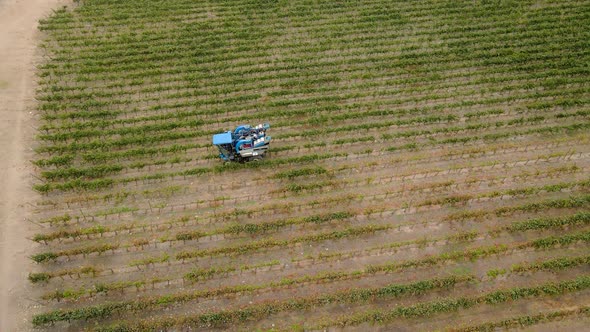 Aerial dolly in on a grape harvester passing by vines in a vineyard