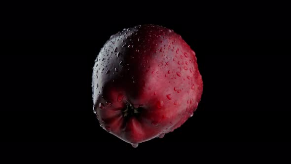 Tasty Red Apple Spins on Dark Background