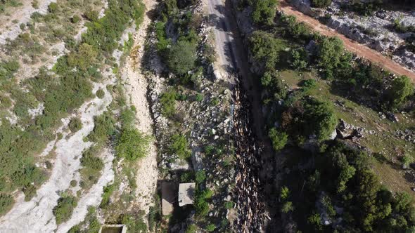 Aerial View Goats Moving Road