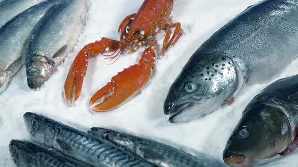 Sea Food Counter At Supermarket