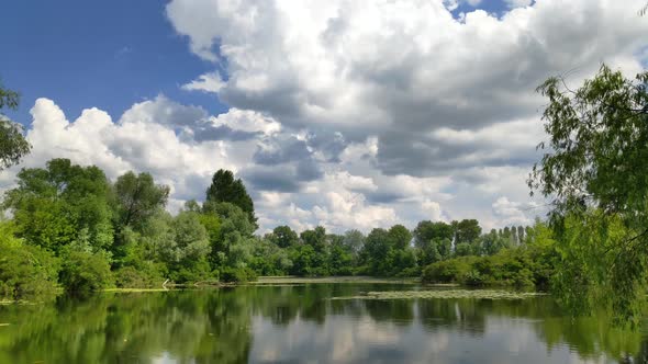 Summer Time Tranquil Landscape. Calm Lake On Wood. Freshness Peaceful Landmark.