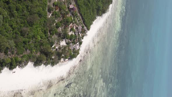 Zanzibar Tanzania  Vertical Video of the Ocean Near the Coast Slow Motion