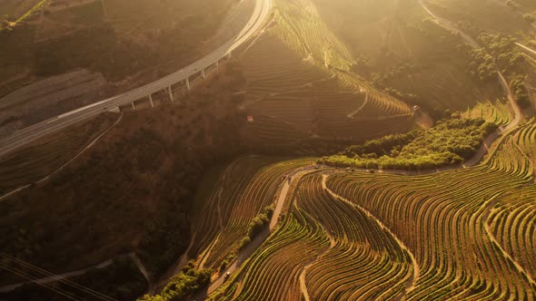 Vineyards Near Motorway in Douro Valley