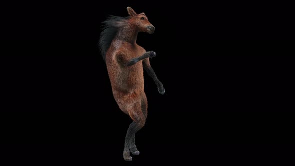 41 Horse Dancing 4K alt