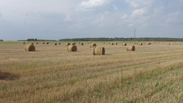 Haystacks Rolls