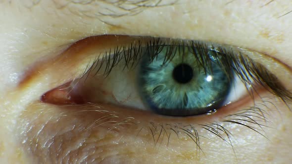 Human Eye Blue Macro, Male Eye Close Up.