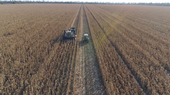 Farming, Agricultural Machinery on Cornfield During Harvest Season in Autumn