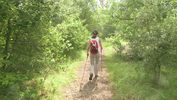 A beautiful woman hiker with hiking poles and a backpack walking through a bright sunny green forest