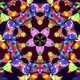 Colorful Butterfly Kaleidoscope - VideoHive Item for Sale