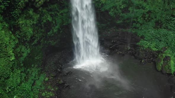 Waterfall in Green Rainforest