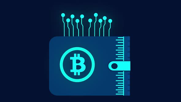 Bitcoin cryptocurrency digital wallet