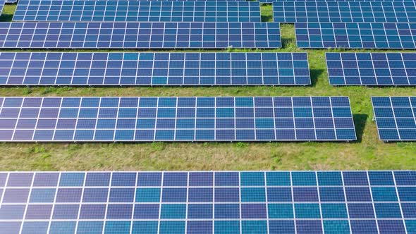 Flight Over a Field of Solar Panels in Sunny Summer Day