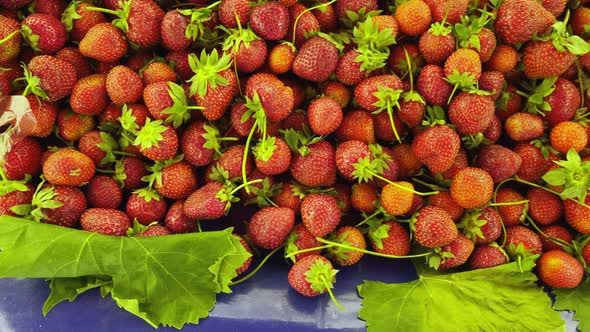 Delicious Organic Fruit Strawberry