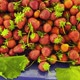 Delicious Organic Fruit Strawberry - VideoHive Item for Sale