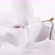 Cherries Falling Into the Flow of Milk - VideoHive Item for Sale