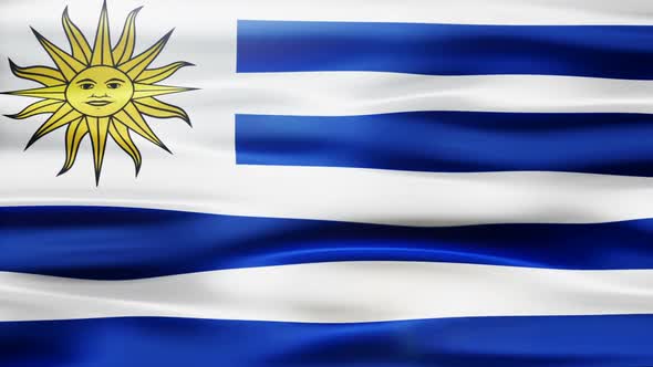 Uruguay Flag Waving