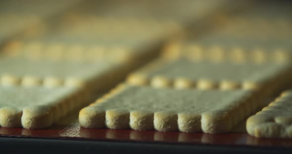 Golden Gingerbread Cookies are Baking in the Oven Close Up