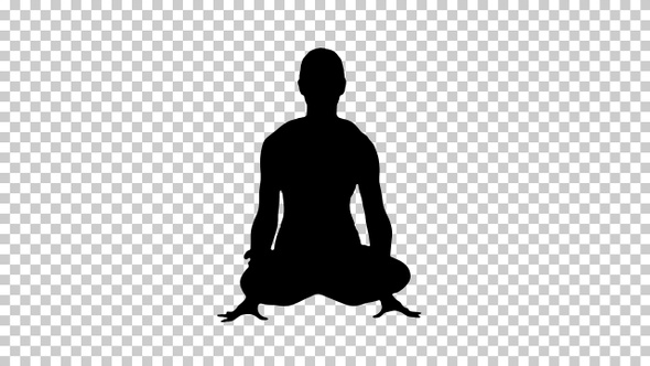 Silhouette Tolasana or Scale Pose Beautiful woman do Yoga alt