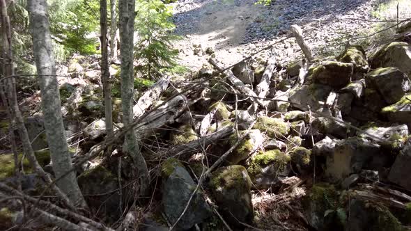 Hiker Looks up at a Rock Slide Beside an Old Logging Road - Thunder Mountain, Vancouver Island, BC,